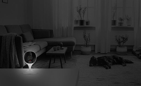 Monitoramento com qualidade: dia e noite